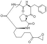Structure of Chlamydocin