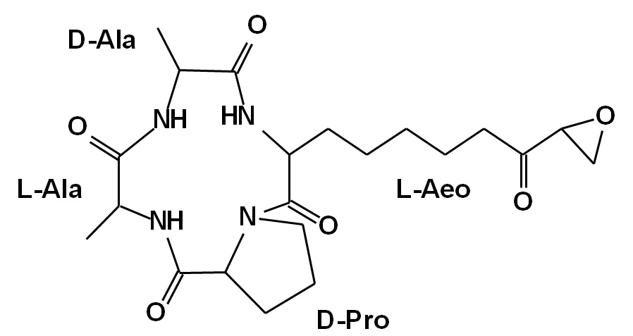 Structure of HC-toxin